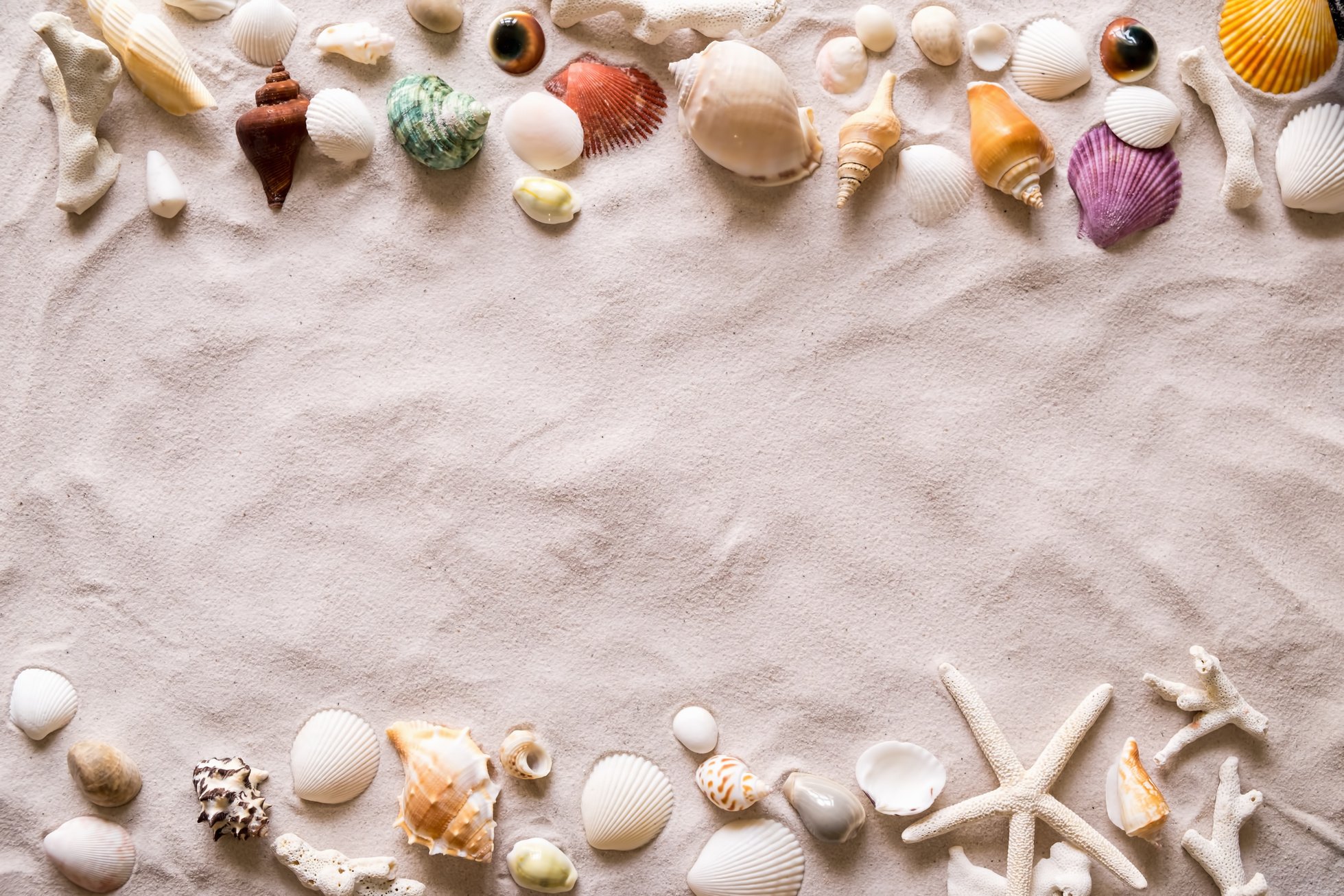 Top View of Sand with Sea Shells and Starfish